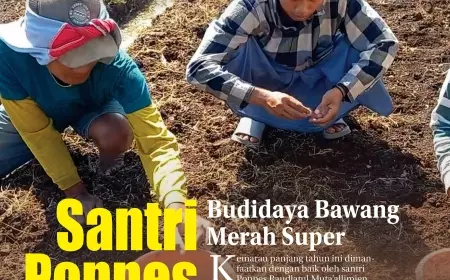 eKoran, Edisi Ahad, 12 Nopember 2023