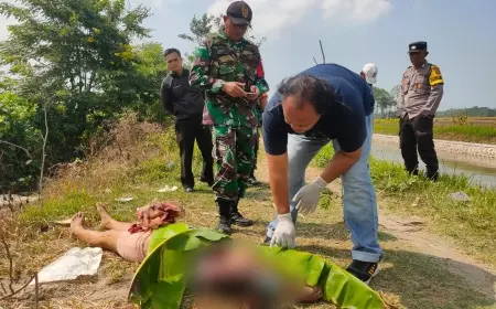 Identitas Perempuan 'Korban Pembunuhan' di Jember Terungkap