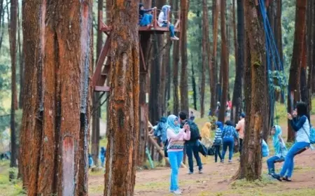 Wah.. Desa Kare Madiun Masuk Nominasi Terbaik LDWN 2023