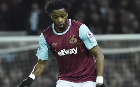 Alex Song Resmi Gantung Sepatu