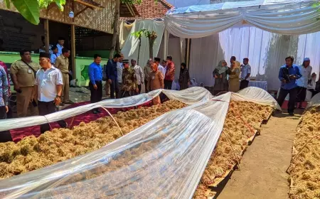 Budidaya Bawang Merah Super Ponpes Raudlatul Muta'allimin, Layak Jadi Percontohan