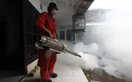 Musim Hujan, Dinkes Ponorogo Mulai Antisipasi Serangan DBD