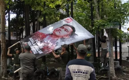 Masih Ditemukan APS di Kota Malang Dipasang di Pohon Hingga Tiang Rambu Lalu Lintas