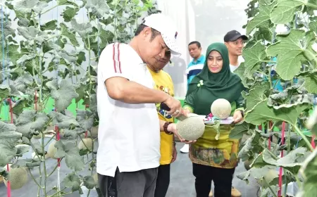 Pemkab Lamongan Kembangkan Divesifikasi Tanaman Pangan Hortikultura