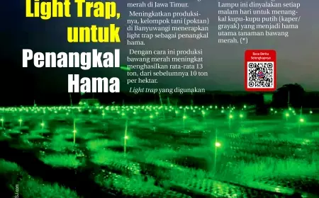 eKoran, Edisi Ahad, 19 Nopember 2023
