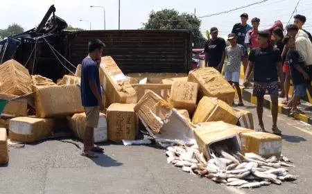 Hindari Pemotor, Pikap Bermuatan Ikan Terguling di Jembatan Randumerak Probolinggo