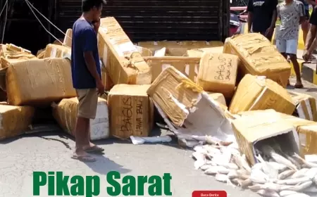 eKoran, Edisi Ahad, 19 Nopember 2023
