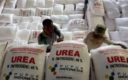 DPKP Kota Batu Dijatah Pupuk Subsidi 728 ton