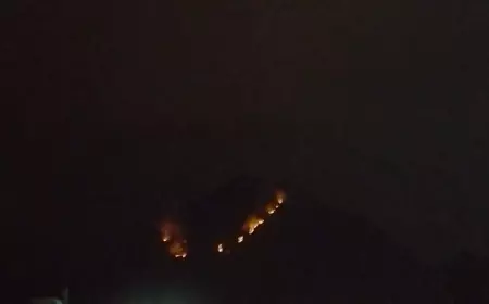 Tersambar Petir, Gunung Panderman Terbakar