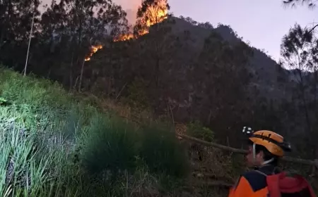 Tak Ada Korban Jiwa di Kebakaran Gunung Panderman
