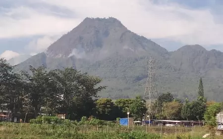 Kebakaran Gunung Panderman, 'Water Bombing' Jadi Opsi Terakhir