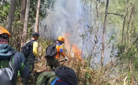 Jalur Pendakian Gunung Buthak dan Gunung Panderman Ditutup