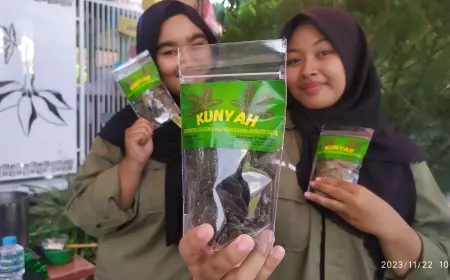 Kunyah, Keripik Daun Singkong Renyah Kaya Manfaat