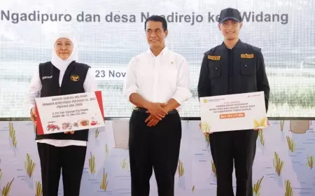Mentan Amran Siapkan Dana Pribadi Rp 36 M di Bank Garansi Penyediaan Benih