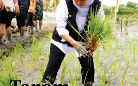 eKoran, Edisi Kamis, 23 Nopember 2023