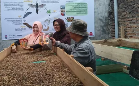 Polbangtan Malang bersama Kampung Oase Songo Surabaya Resmikan Rumah Budidaya Maggot.