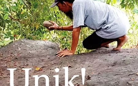 eKoran, Edisi Sabtu, 25 Nopember 2023