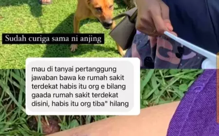 Wah, Seorang Pengunjung CFD Ijen Malang Digigit Seekor Anjing