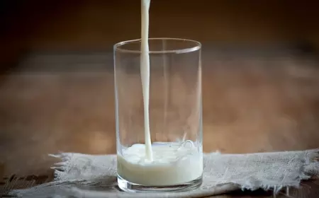 Anak Harus Terus Minum Susu; Fakta Atau Mitos?