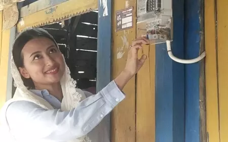 Komisi VII DPR RI Inisiasi Bantuan Pasang Listrik Baru untuk Warga Lamongan