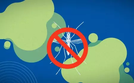 Jumlah Kasus Malaria Kabupaten Malang Turun Signifikan