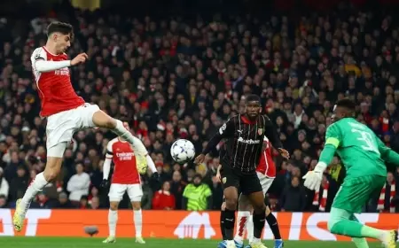 Arsenal Gilas Lens Tanpa Balas di Babak Kualifikasi Grup B Liga Champions