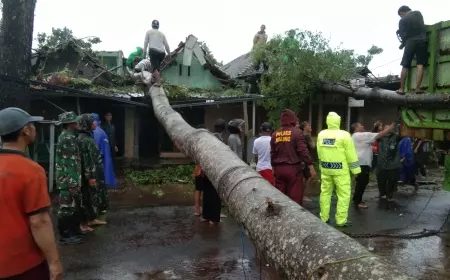 Catatan BPBD Kabupaten Malang:Puluhan Rumah Rusak Akibat Hujan Deras Disertai Angin