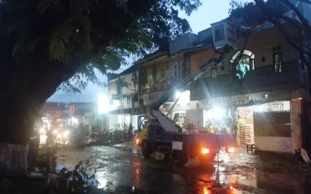 DPUBM Kabupaten Malang Angkat Bicara Komentari Banyak Pohon Tumbang di Kecamatan Jabung