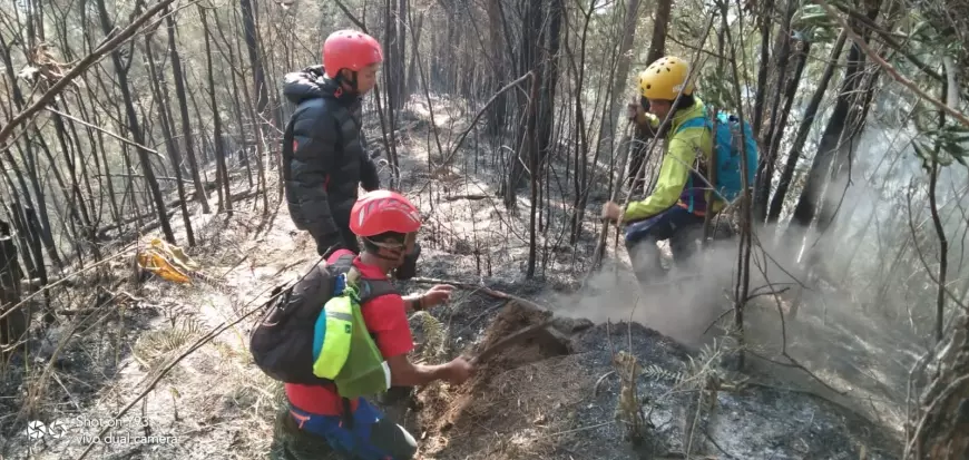 Kepolisian dan BPBD Kabupaten Malang Susah Payah Padamkan Api Hutan Lindung di Gunung Kawi Terbakar