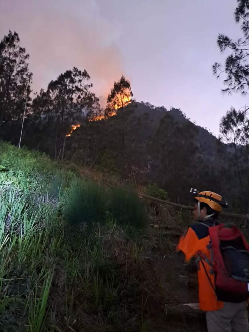 Tak Ada Korban Jiwa di Kebakaran Gunung Panderman