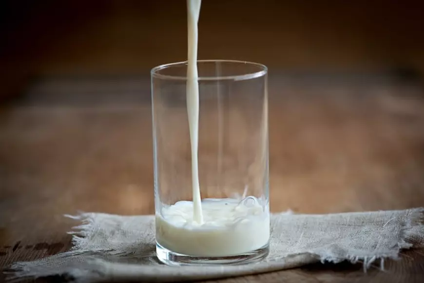 Anak Harus Terus Minum Susu; Fakta Atau Mitos?