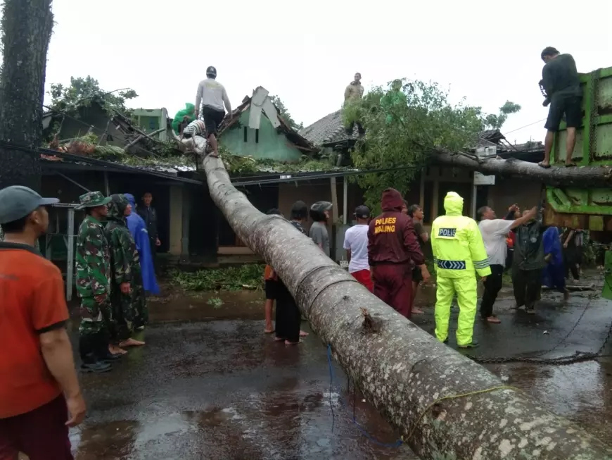 Pohon Tumbang, 2 Rumah di Jabung Kabupaten Malang Hancur