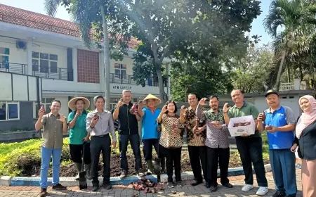 Kampanye Ketahanan Pangan, UM Panen Ubi Jalar