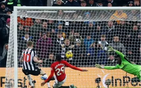 Newcastle Naik Ke Peringkat Lima Setelah Bekuk MU di Liga Premier