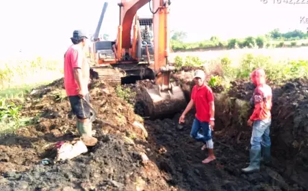 Program OPIP Babat Habis Afur di Kencong, Kabupaten Jember