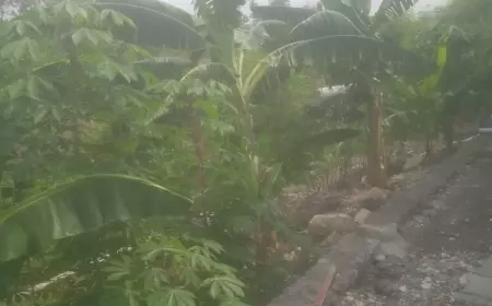 Dituding Lakukan Pelanggaran, CV Kema Sejahtera Jombang Dapat Teguran BBWS Jawa Timur