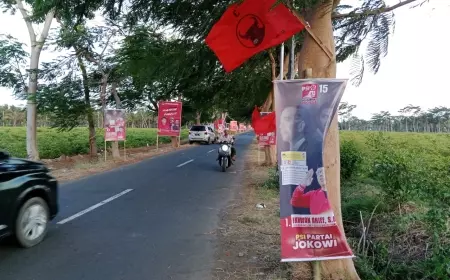 Perang Baliho PSI - PDI Perjuangan Warnai Kedatangan Kaesang ke Bangsring Banyuwangi