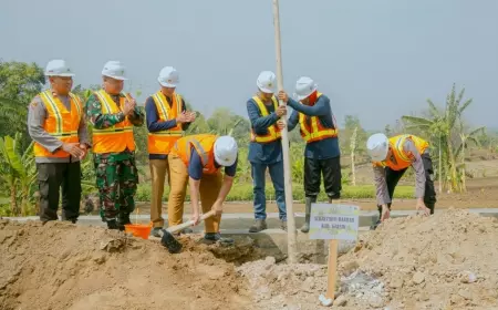 Peringati Hari Bakti ke-78, Dinas PUTR Gresik Tanam 2,2 juta Pohon Tabebuya di Waduk Bunder