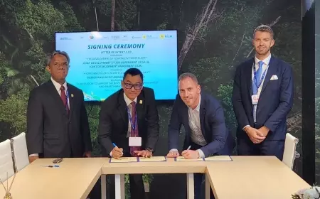 PT PLN dan HDF Energy Bakal Kembangkan Pembangkit Listrik Hidrogen di Indonesia