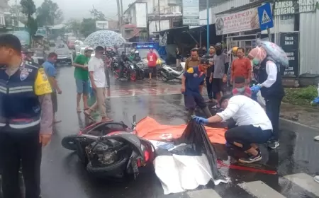 Kecelakaan Bukit Berbunga, Libatkan Tiga Kendaraan