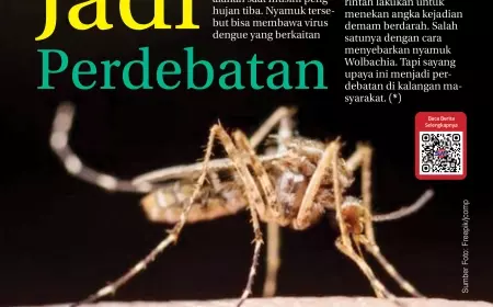 eKoran, Edisi Jumat, 8 Desember 2023