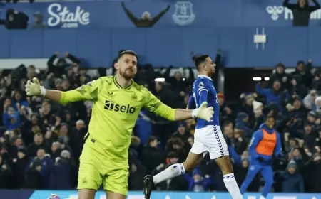 Everton Menjauh dari Jurang Degradasi Pasca Libas Newcastle United