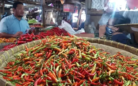 Jelang Nataru, Harga Cabai di Probolinggo Terus Melonjak
