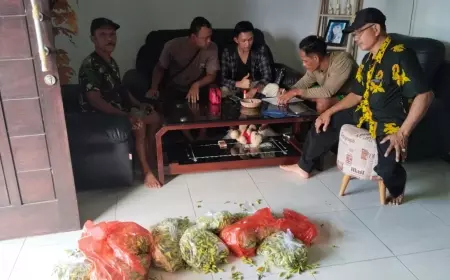 Warga Banyuwangi Nekat Garong Cabai Tetangga Gegara Harga Meroket