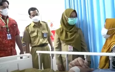 Direktur RSUD Jombang Jelaskan Sebab Balita Meninggal Karena Sengatan Tawon
