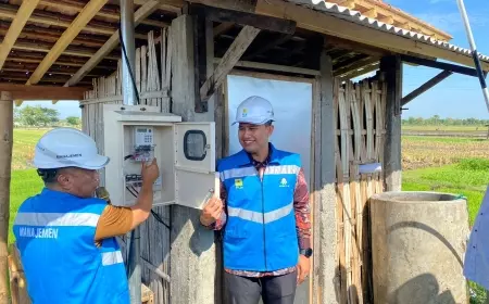 PLN Elektrifikasi Pertanian di Jawa Timur, Petani Hemat Biaya 65 Persen