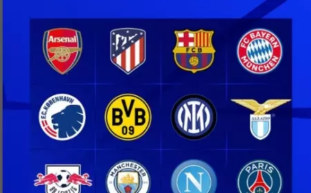 Hasil Lengkap Liga Champions: Borussia Dortmund dan Manchester City Lolos ke Babak 16 Besar