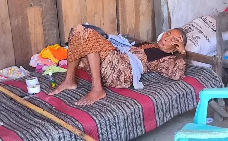 Chikungunya Serang Desa di Bojonegoro, Empat Masih Lumpuh