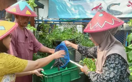 Mengintip Suksesnya Inovasi Budikdamber UWKS di Kampoeng Pintar Oase Tembok Gede