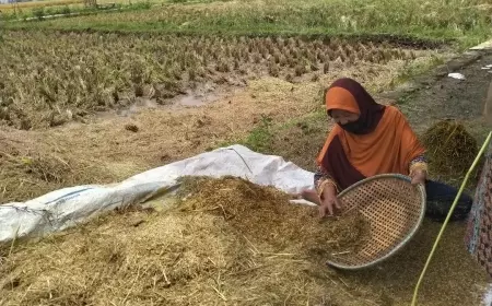 2059 Kartu Tani Kota Batu Tak Berlaku